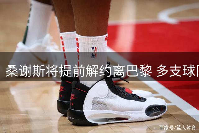 桑谢斯将提前解约离巴黎 多支球队展开争夺